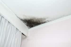 Mold on the ceiling